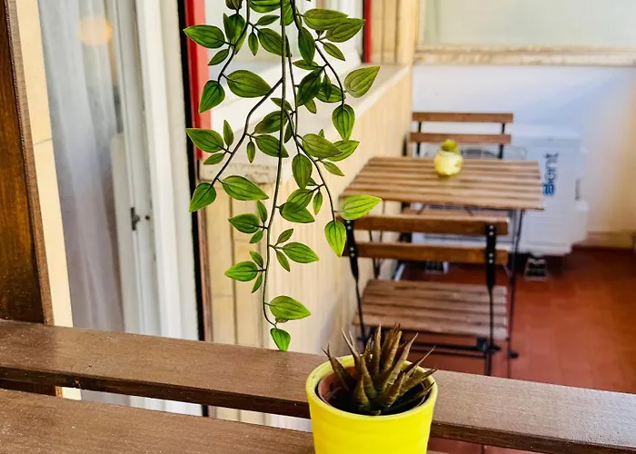 Rose In * Roma
